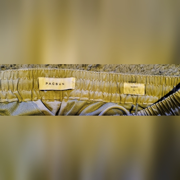 NEW PacSun Gray Canvas Baggy Cargo Pants - Picture 3 of 3